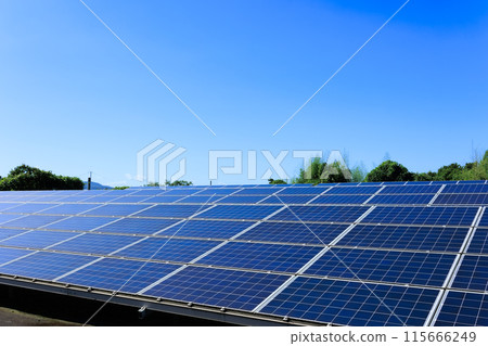 solar panel  115666249
