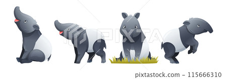 Cute Malayan Tapir as Asian Animal with White Patch and Short Nose Trunk in Different Pose Vector Set 115666310