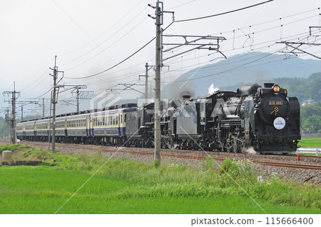 上越線五官沼田 JR東日本 D51-498+C57-180+12系 SL Juryan水上物語 上越線五官沼田 JR東日本 D51-498+C57-180+12系 SL Juryan水上物語 115666400