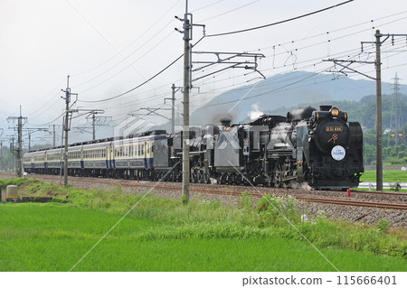 上越線五官沼田 JR東日本 D51-498+C57-180+12系 SL Juryan水上物語 上越線五官沼田 JR東日本 D51-498+C57-180+12系 SL Juryan水上物語 115666401