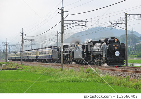 上越線五官沼田 JR東日本 D51-498+C57-180+12系 SL Juryan水上物語 上越線五官沼田 JR東日本 D51-498+C57-180+12系 SL Juryan水上物語 115666402