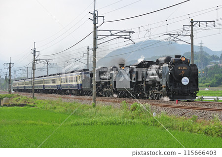 上越線五官沼田 JR東日本 D51-498+C57-180+12系 SL Juryan水上物語 上越線五官沼田 JR東日本 D51-498+C57-180+12系 SL Juryan水上物語 115666403
