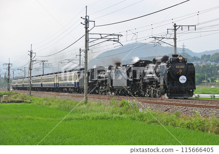 上越線五官沼田 JR東日本 D51-498+C57-180+12系 SL Juryan水上物語 上越線五官沼田 JR東日本 D51-498+C57-180+12系 SL Juryan水上物語 115666405