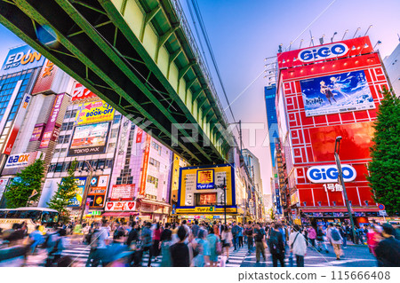 Tokyo cityscape in Japan: Inbound tourism revives... Akihabara bustling with foreign tourists. Large tourist buses also appear... 115666408