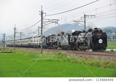 上越線五官沼田 JR東日本 D51-498+C57-180+12系 SL Juryan水上物語 上越線五官沼田 JR東日本 D51-498+C57-180+12系 SL Juryan水上物語 115666409