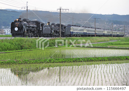 Joetsu Line Shibukawa-Yagihara JR East D51-498+C57-180+12 series SL double-header Minakami Monogatari 115666497