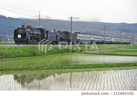 Joetsu Line Shibukawa-Yagihara JR East D51-498+C57-180+12 series SL double-header Minakami Monogatari 115666500