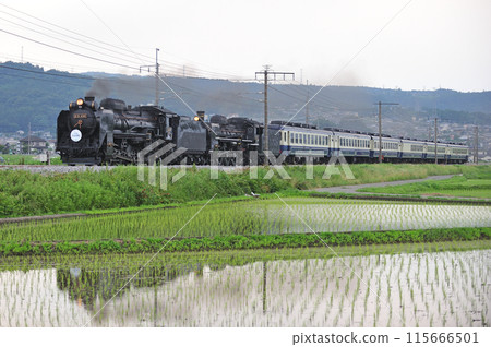 上越線 澀川-八木原 JR東日本 D51-498+C57-180+12系 SL 十龍水上物語 115666501