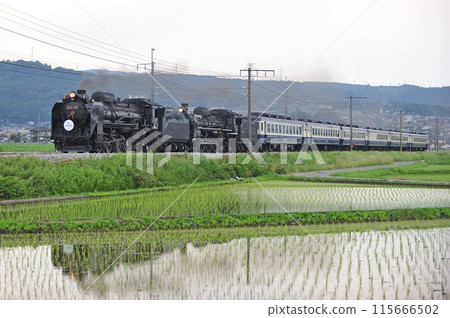 上越線 澀川-八木原 JR東日本 D51-498+C57-180+12系 SL 十龍水上物語 115666502