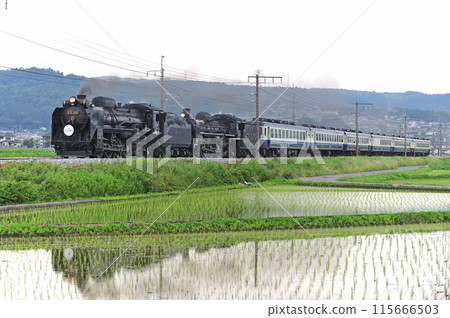 上越線 澀川-八木原 JR東日本 D51-498+C57-180+12系 SL 十龍水上物語 上越線 澀川-八木原 JR東日本 D51-498+C57-180+12系 SL 十龍水上物語 115666503