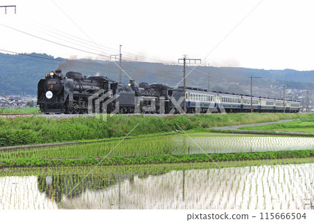 上越線 澀川-八木原 JR東日本 D51-498+C57-180+12系 SL 十龍水上物語 115666504