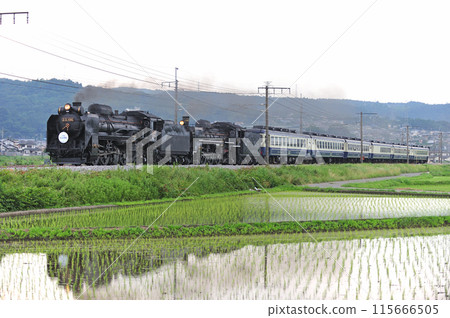 Joetsu Line Shibukawa-Yagihara JR East D51-498+C57-180+12 series SL double-header Minakami Monogatari 115666505