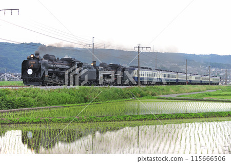 Joetsu Line Shibukawa-Yagihara JR East D51-498+C57-180+12 series SL double-header Minakami Monogatari 115666506