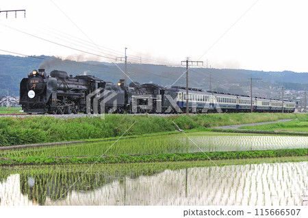 Joetsu Line Shibukawa-Yagihara JR East D51-498+C57-180+12 series SL double-header Minakami Monogatari 115666507