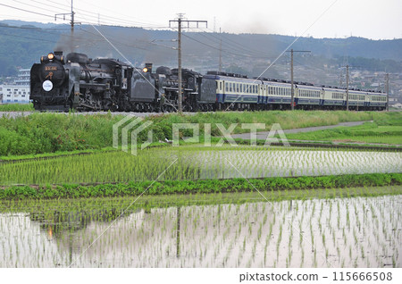 上越線 澀川-八木原 JR東日本 D51-498+C57-180+12系 SL 十龍水上物語 上越線 澀川-八木原 JR東日本 D51-498+C57-180+12系 SL 十龍水上物語 115666508