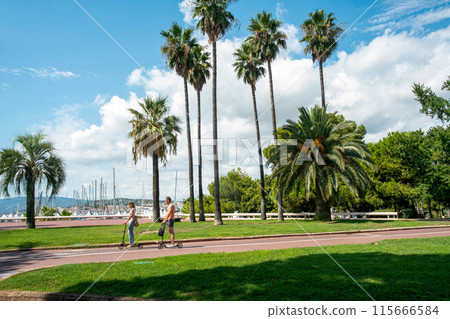 Idyllic View  on tall palm trees of Croisette in Cannes (blurred motion people riding a  "muscle" scooters) 115666584