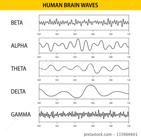 Beta, alpha, theta, delta, gamma brain waves. Set of brain waves oscillation. Human rhythm, types, amplitude of mind waves. Vector illustration 115666601