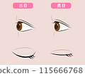 後眼瞼突出、眼部美容 115666768