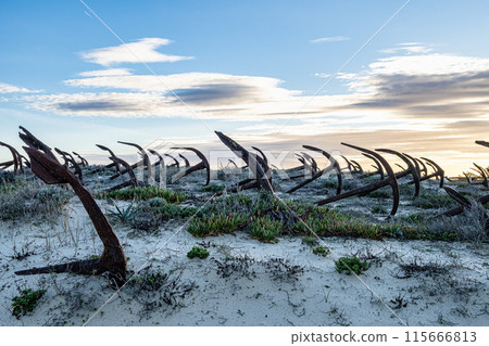 Rusty old anchors on the beach at the Anchor Cemetary graveyard at Praia do Barril beach in Tavira, Algarve, Portugal 115666813