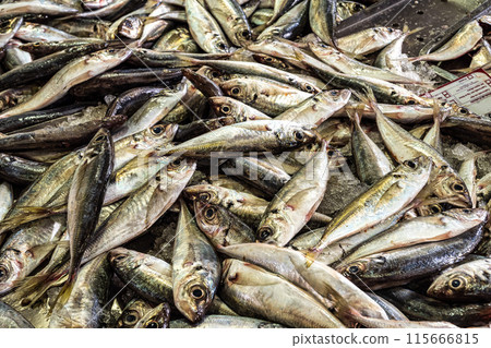 The fish and grocery market in the Markethall of Loule in the Algarve, Portugal in Europe. 115666815