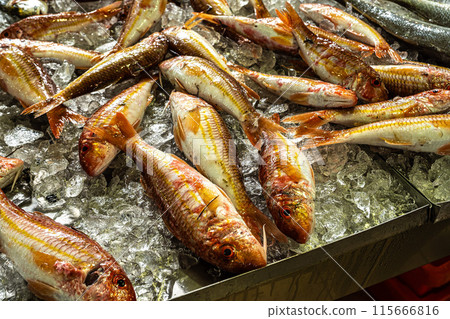 The fish and grocery market in the Markethall of Loule in the Algarve, Portugal in Europe. The fish and grocery market in the Markethall of Loule in the Algarve, Portugal in Europe. 115666816