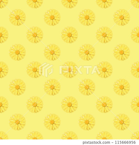 vector seamless pattern with chamomile flowers vector seamless pattern with chamomile flowers 115666956