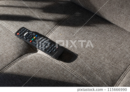 Remote Control on Gray Sofa Seat 115666990