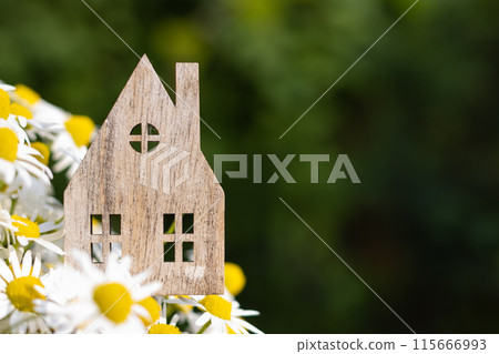 Eco House Concept with Space for Text 115666993