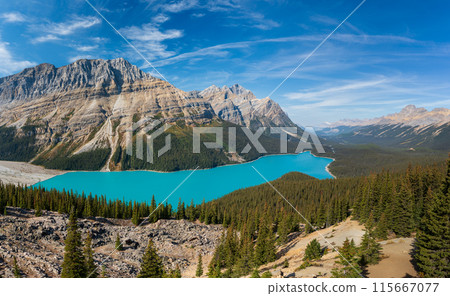 Peyto Lake panorama view in summer. Banff National Park, Canadian Rockies, Alberta, Canada. Peyto Lake panorama view in summer. Banff National Park, Canadian Rockies, Alberta, Canada. 115667077