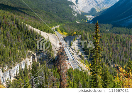 The Big Bend viewpoint and The Big Hill on the Icefields Parkway between Jasper and Banff National Park in autumn, Alberta, Canada. 115667081