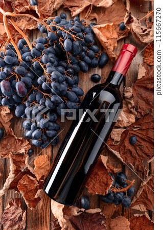 Bottle of red wine and blue grapes. 115667270