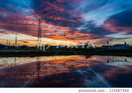 Scenery of Komaki mountain castle before sunrise 115667368