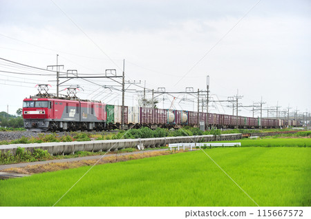 Tohoku Main Line, Kurihashi-Higashiwashimiya, JR Freight, EH500-12 (Sendai) Tohoku Main Line, Kurihashi-Higashiwashimiya, JR Freight, EH500-12 (Sendai) 115667572
