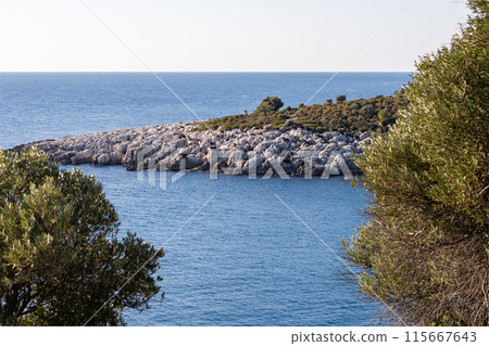 Lush Mediterranean vegetation overlooks the serene blue sea from a rocky cliff Lush Mediterranean vegetation overlooks the serene blue sea from a rocky cliff 115667643