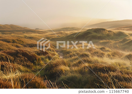 A field of tall grass with a foggy sky in the background 115667740