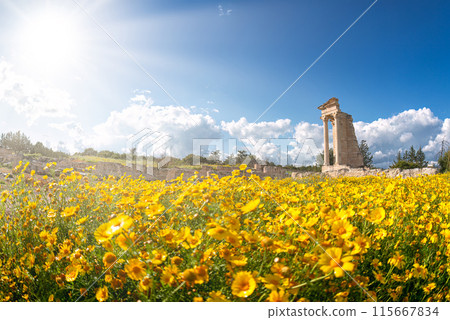 Sunny ancient ruins of Sanctuary of Apollo Hylates amidst wildflowers. Limassol District, Cyprus 115667834
