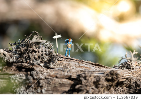 Miniature explorer on wooden terrain 115667839