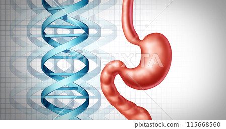 Digestion And Genetics 115668560