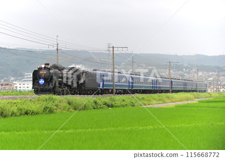 上越線澀川八木原 JR東日本 D51-498+12系（高崎）SL水上 115668772
