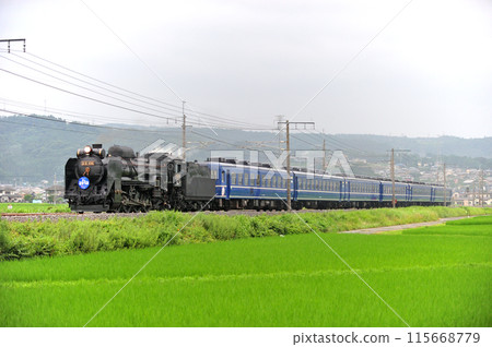 上越線澀川八木原 JR東日本 D51-498+12系（高崎）SL水上 115668779