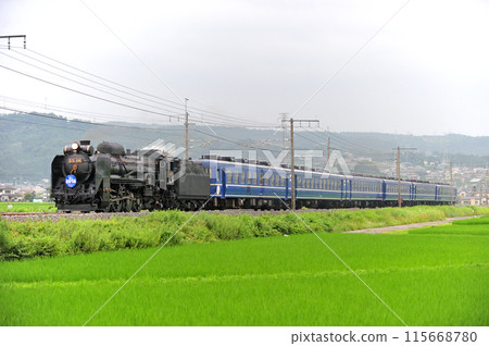 上越線澀川八木原 JR東日本 D51-498+12系(高崎)SL水上 上越線澀川八木原 JR東日本 D51-498+12系(高崎)SL水上 115668780