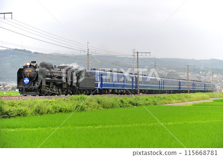上越線澀川八木原 JR東日本 D51-498+12系（高崎）SL水上 115668781