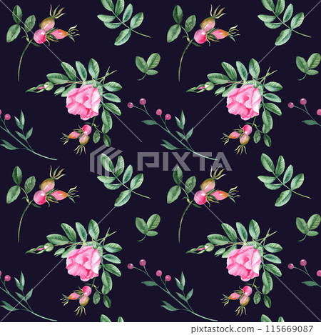 Dog rose Floral Watercolor seamless pattern on dark black background. Hand drawn botanical illustration. Rose hip flowers, buds, branches and berries. Can be used for fabric, textile, packaging prints 115669087
