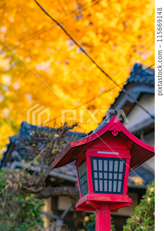 [神奈川縣]高田天滿宮的夜燈，11月*自然風景 115669148