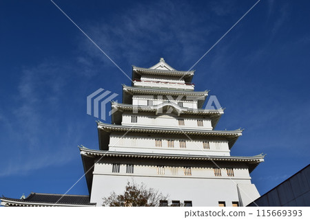 Joso City Regional Exchange Center Toyota Castle (Ibaraki Prefecture) Joso City Regional Exchange Center Toyota Castle (Ibaraki Prefecture) 115669393