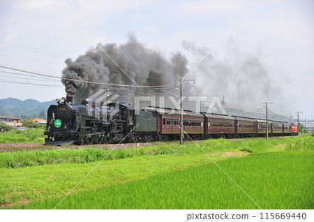 Shinetsu Main Line Annaka-Isobe JR East C61-20 + old passenger car + DD51-842 (Takasaki) SL Retro Usui 115669440