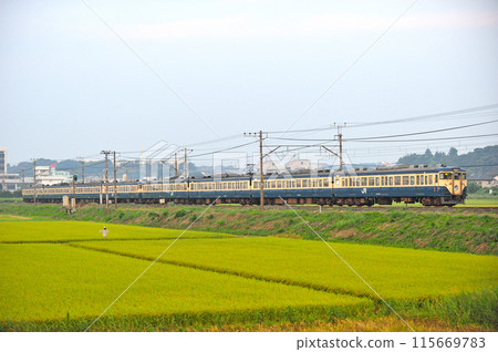 內房線袖浦岩根JR東日本113系217+116編組（幕張） 115669783