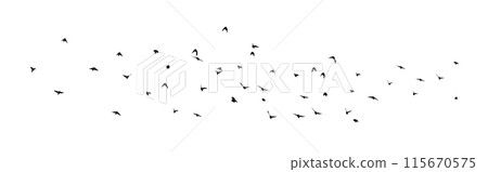 Flying birds silhouette flock. hand drawing. Not AI, Illustrat3. Vector illustration 115670575