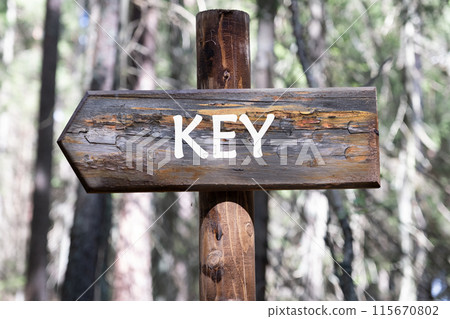 KEY word. Letter KEY written on a piece of a wooden pole against the background of a forest 115670802