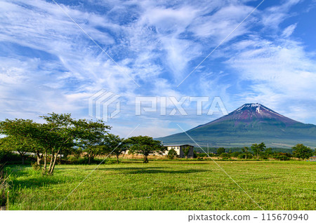 Yamanashi Prefecture - A spectacular view of fresh greenery, Mt. Fuji, and blue skies (early summer image) 115670940